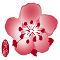 China Airlines