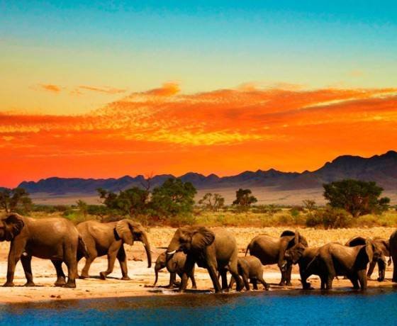 Africa
